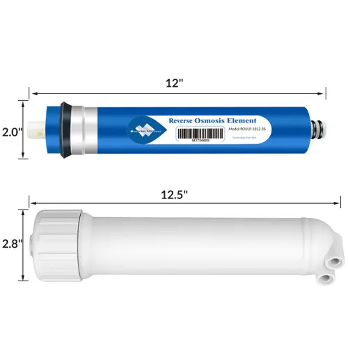 RO membrane replacement service